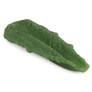 ROMAINE LETTUCE LEAF